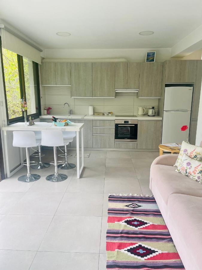 Riverside Suite Kalopanagiotis Ngoại thất bức ảnh
